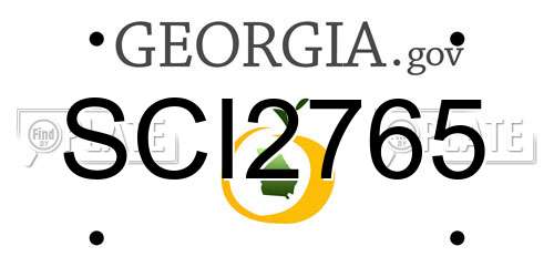 SCI2765 Georgia License Plate