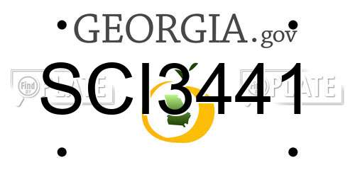 SCI3441 Georgia License Plate