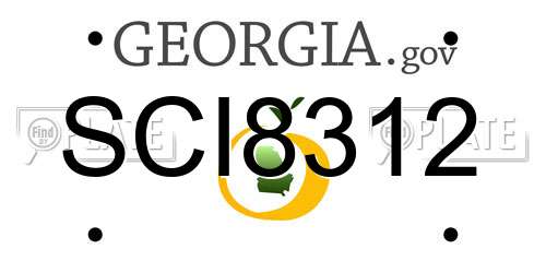 SCI8312 Georgia License Plate