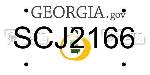 SCJ2166 Georgia License Plate