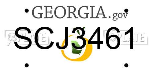 SCJ3461 Georgia License Plate