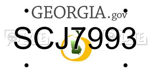 SCJ7993 Georgia License Plate