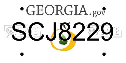 SCJ8229 Georgia License Plate