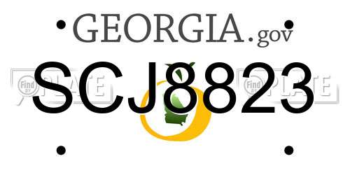 SCJ8823 Georgia License Plate