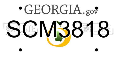 SCM3818 Georgia License Plate