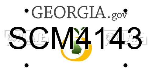 SCM4143 Georgia License Plate