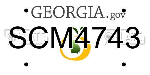SCM4743 Georgia License Plate