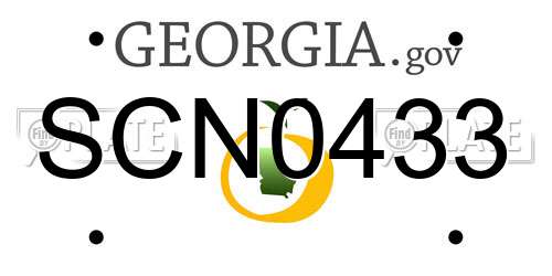SCN0433 Georgia License Plate