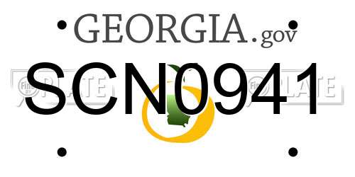 SCN0941 Georgia License Plate