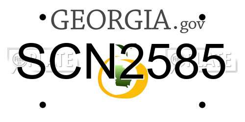 SCN2585 Georgia License Plate