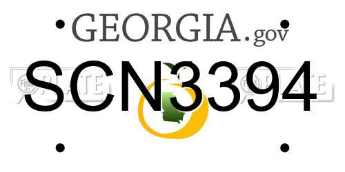 SCN3394 Georgia License Plate