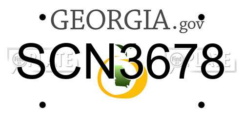SCN3678 Georgia License Plate