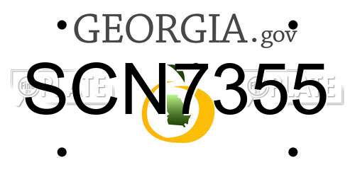SCN7355 Georgia License Plate