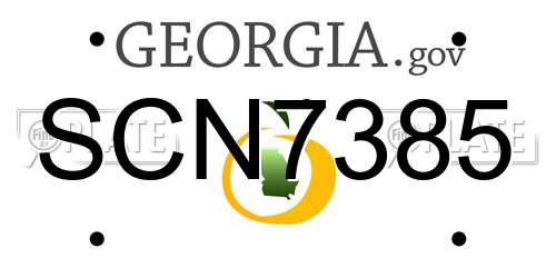 SCN7385 Georgia License Plate