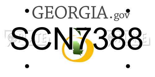 SCN7388 Georgia License Plate