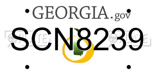 SCN8239 Georgia License Plate