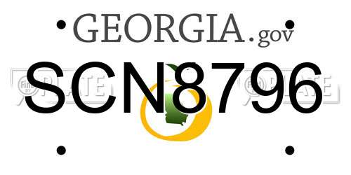 SCN8796 Georgia License Plate