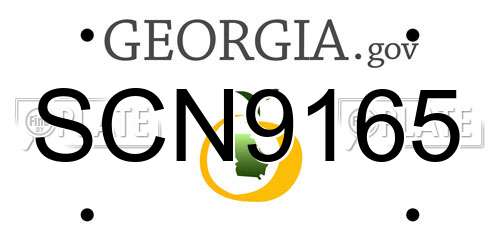 SCN9165 Georgia License Plate