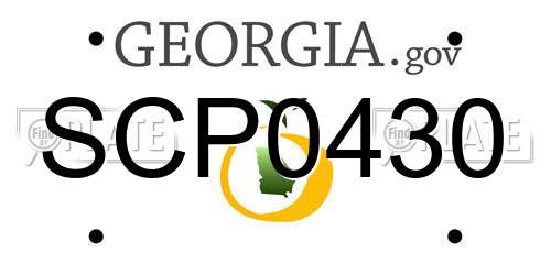 SCP0430 Georgia License Plate