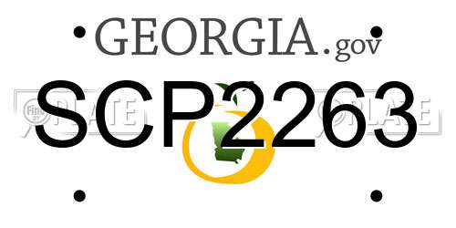 SCP2263 Georgia License Plate