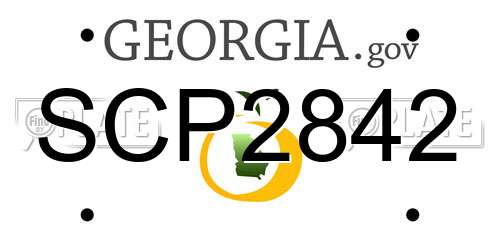 SCP2842 Georgia License Plate