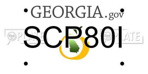 SCP80I Georgia License Plate