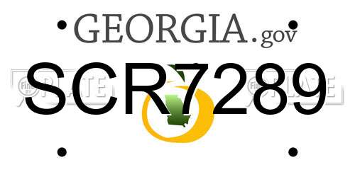 SCR7289 Georgia License Plate