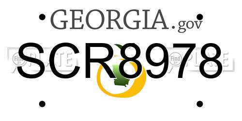 SCR8978 Georgia License Plate