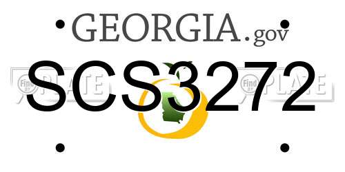 SCS3272 Georgia License Plate