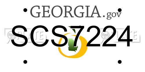SCS7224 Georgia License Plate