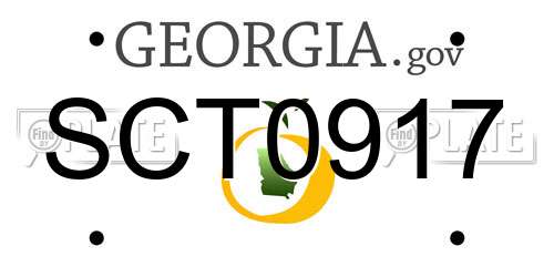 SCT0917 Georgia License Plate