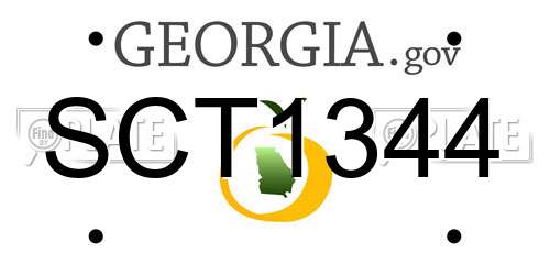 SCT1344 Georgia License Plate