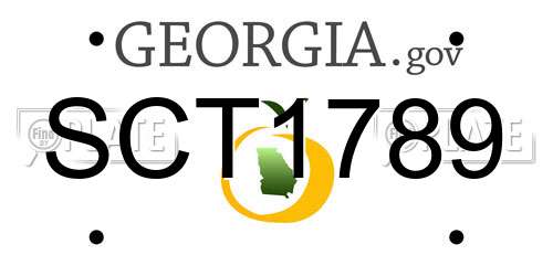 SCT1789 Georgia License Plate