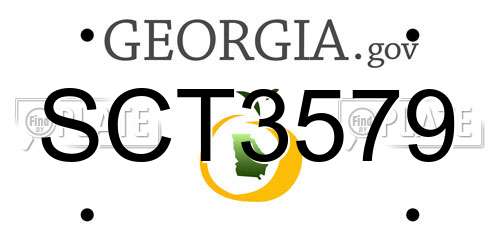SCT3579 Georgia License Plate