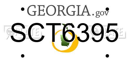 SCT6395 Georgia License Plate