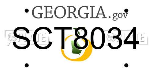 SCT8034 Georgia License Plate