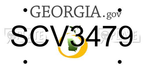 SCV3479 Georgia License Plate