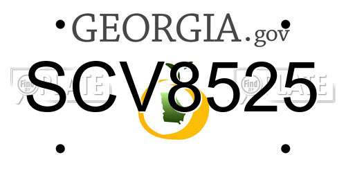 SCV8525 Georgia License Plate