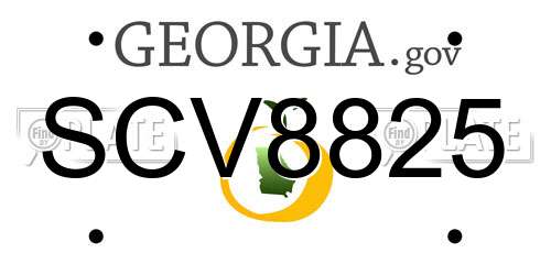 SCV8825 Georgia License Plate