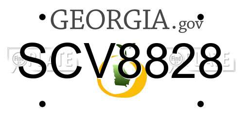SCV8828 Georgia License Plate