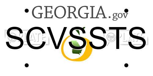 SCVSSTS Georgia License Plate