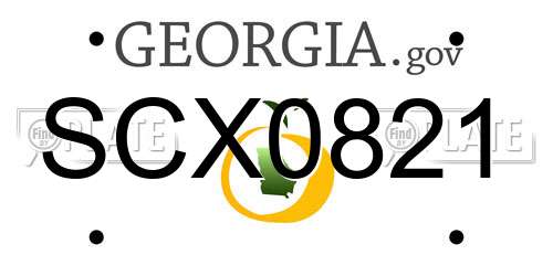 SCX0821 Georgia License Plate