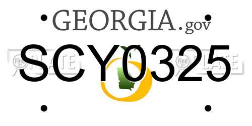 SCY0325 Georgia License Plate