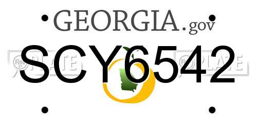 SCY6542 Georgia License Plate