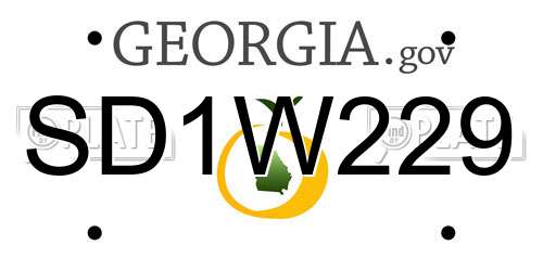 SD1W229 Georgia License Plate