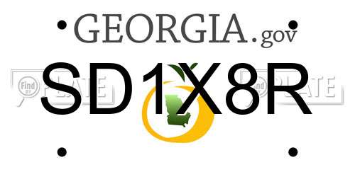 SD1X8R Georgia License Plate