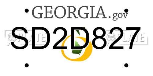 SD2D827 Georgia License Plate