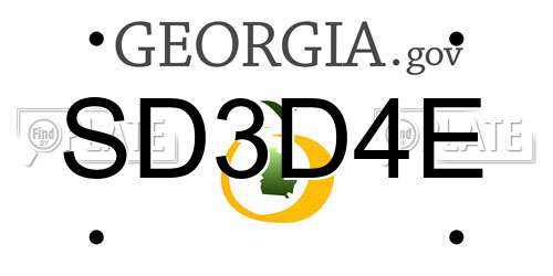 SD3D4E Georgia License Plate
