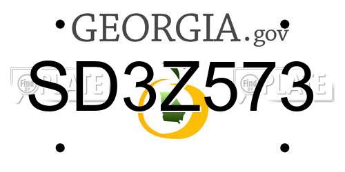 SD3Z573 Georgia License Plate