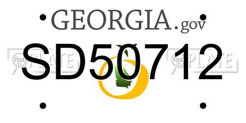 SD50712 Georgia License Plate